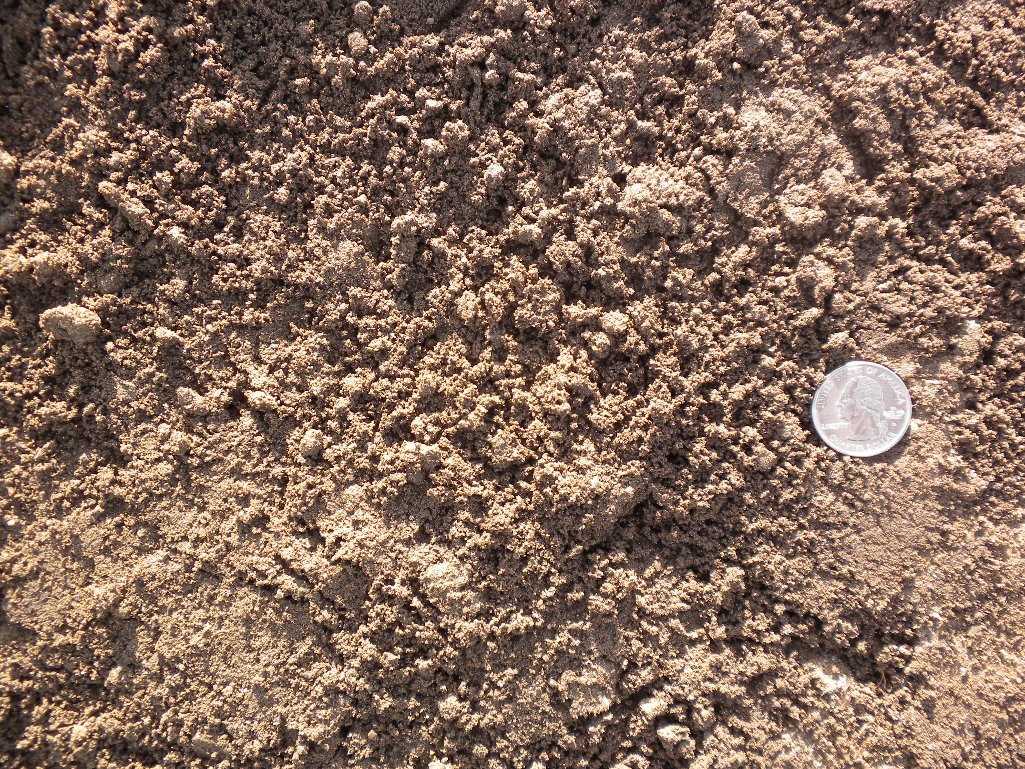 soildirect com screened topsoil loam rancho soildirect com screened topsoil loam rancho