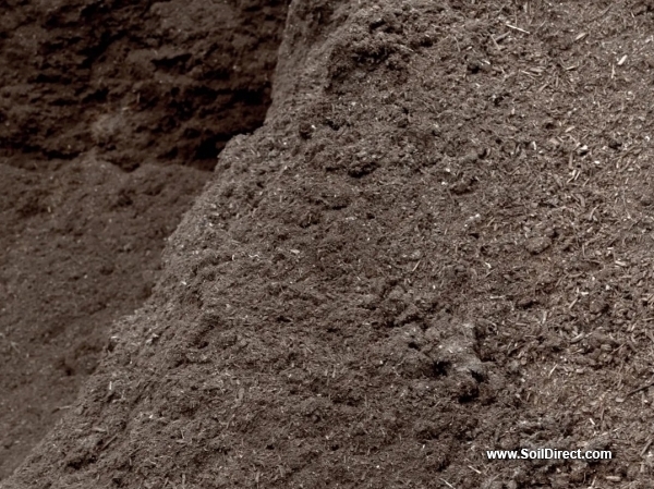 Compost Compost