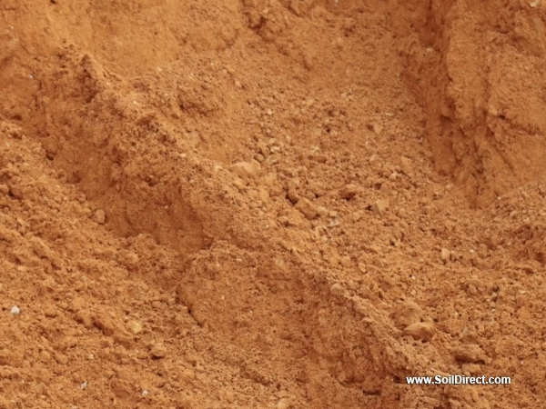 Cushion Sand Cushion Sand