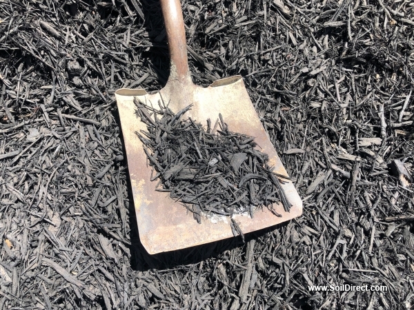 Image of Black dyed wood chips