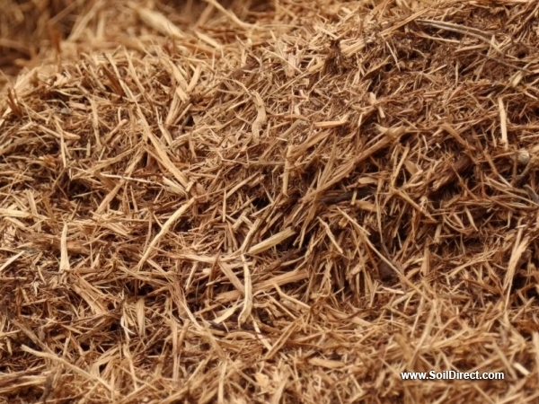Cedar Wood Chips Cedar Wood Chips