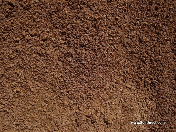 Gold Decomposed Granite