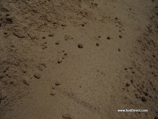 Washed Plaster Sand