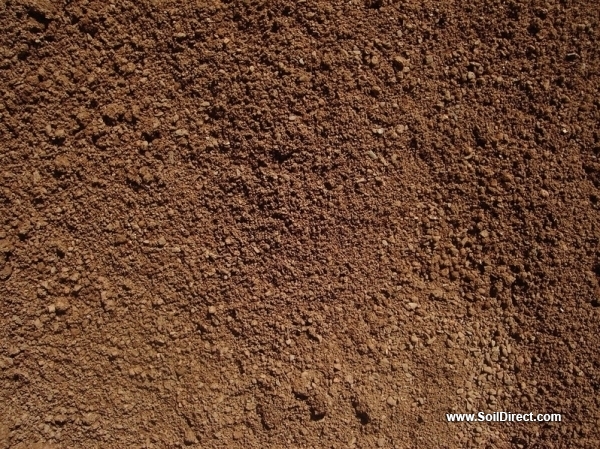 Gold Decomposed Granite