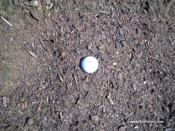 Compost Compost