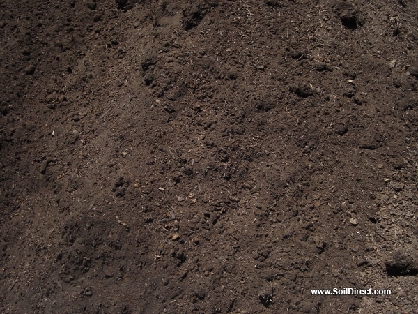 Premium Organic Compost