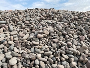 3 in. Arizona River Rock