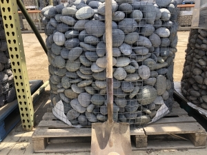 3in - 5in Mexican Pebble