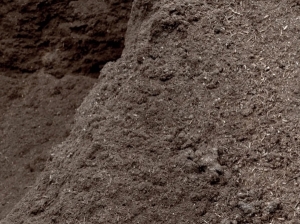 Compost