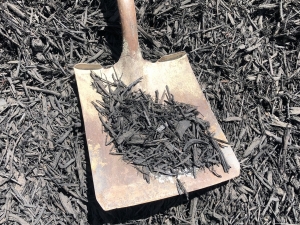 Black Dyed Wood Chips