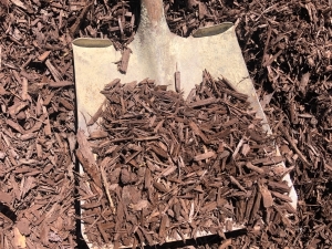 Brown Dyed Wood Chips