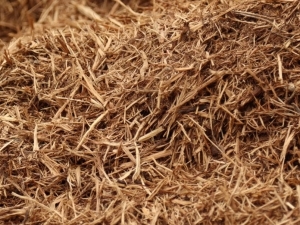 Cedar Wood Chips