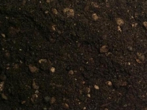 Flower Vegetable Mix Flower Vegetable Mix