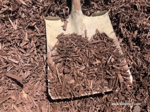 Brown Dyed Wood Chips Brown Dyed Wood Chips