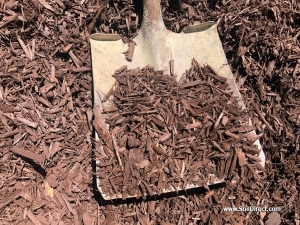 Brown Dyed Wood Chips