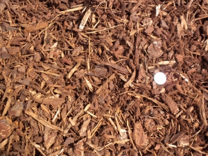 Walk on Mulch